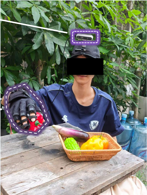 Human demonstrator collecting outdoor fruit manipulation data