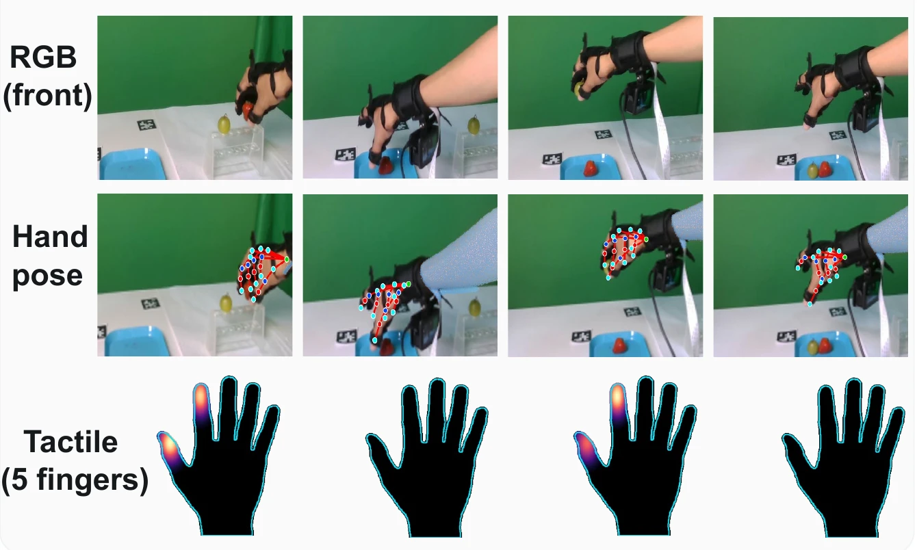 Synchronized RGB images, hand pose overlays and five-finger tactile maps